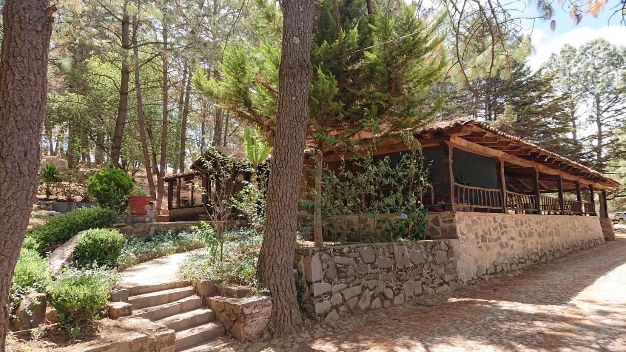 Cabanas Tapalpa Sierra Del Tecuan, Cabana Coyote Bagian luar foto